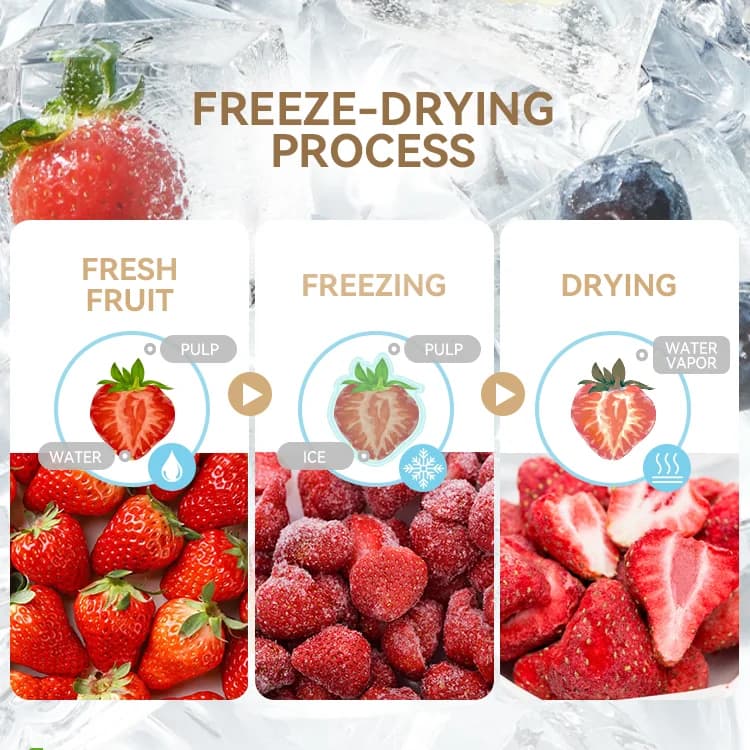 Máy cấp khí tươi phòng đơn có cần chạy 24/24 không?